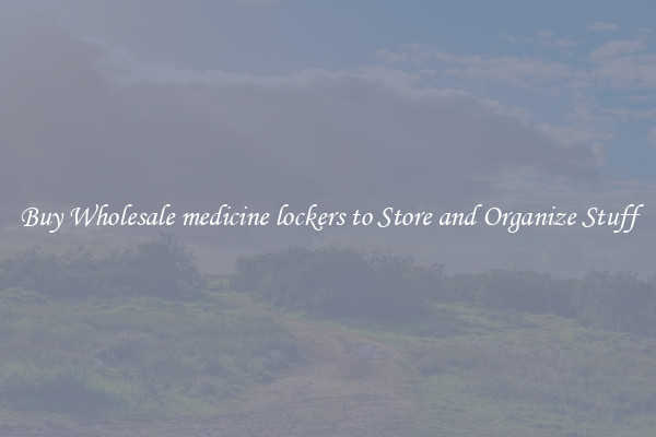 Buy Wholesale medicine lockers to Store and Organize Stuff