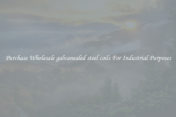 Purchase Wholesale galvanealed steel coils For Industrial Purposes