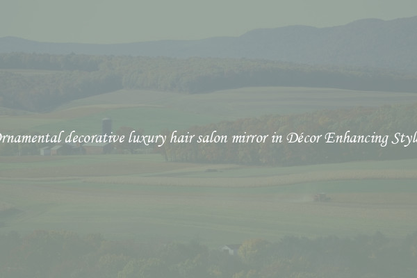 Ornamental decorative luxury hair salon mirror in Décor Enhancing Styles