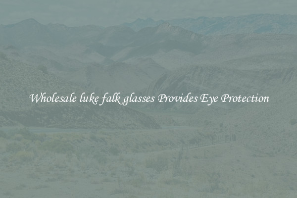 Wholesale luke falk glasses Provides Eye Protection