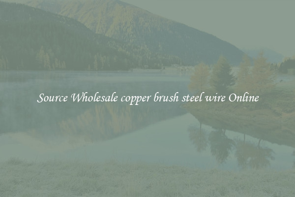 Source Wholesale copper brush steel wire Online