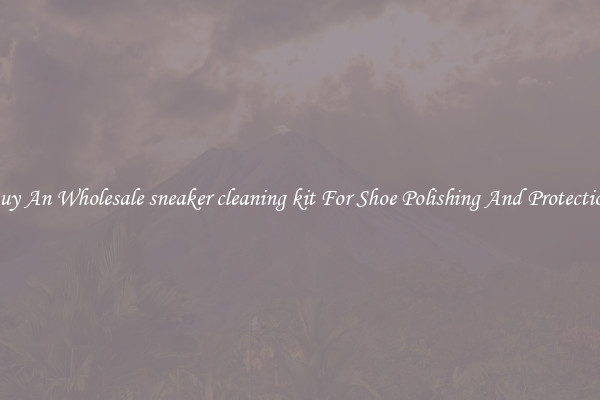 Buy An Wholesale sneaker cleaning kit For Shoe Polishing And Protection