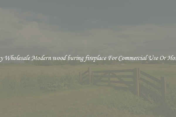 Buy Wholesale Modern wood buring fireplace For Commercial Use Or Homes