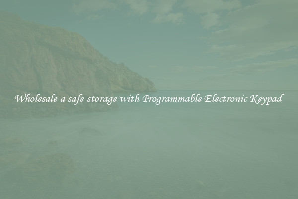 Wholesale a safe storage with Programmable Electronic Keypad 