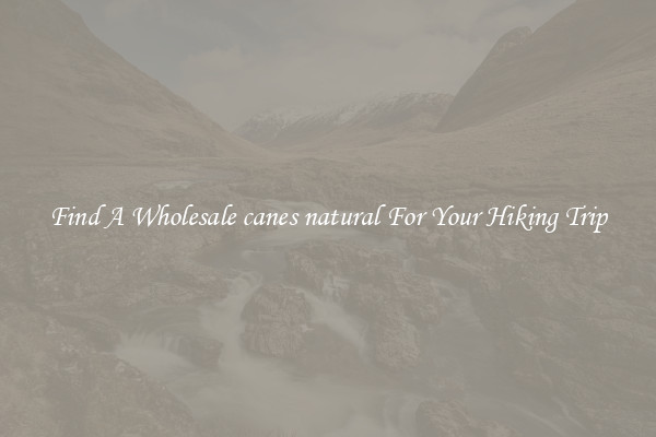 Find A Wholesale canes natural For Your Hiking Trip