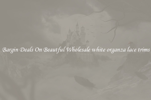 Bargin Deals On Beautful Wholesale white organza lace trims