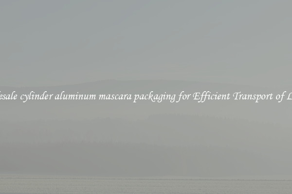 Wholesale cylinder aluminum mascara packaging for Efficient Transport of Liquids
