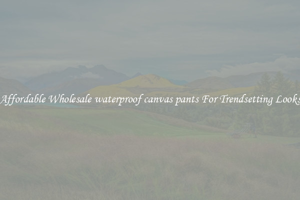 Affordable Wholesale waterproof canvas pants For Trendsetting Looks