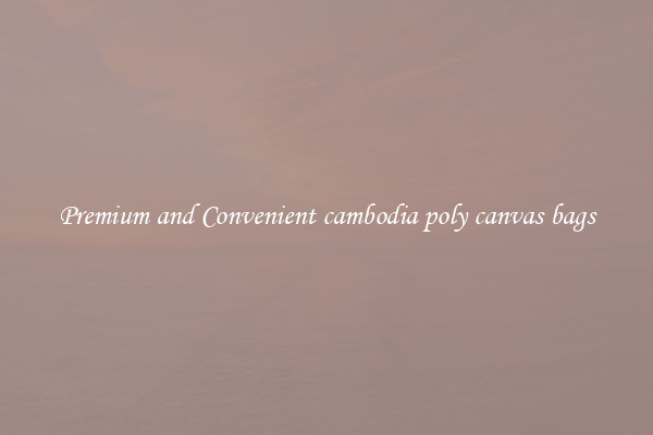 Premium and Convenient cambodia poly canvas bags