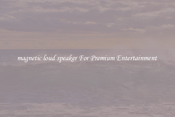magnetic loud speaker For Premium Entertainment 