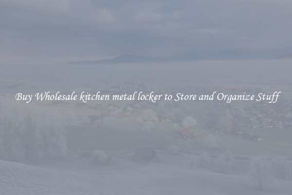 Buy Wholesale kitchen metal locker to Store and Organize Stuff
