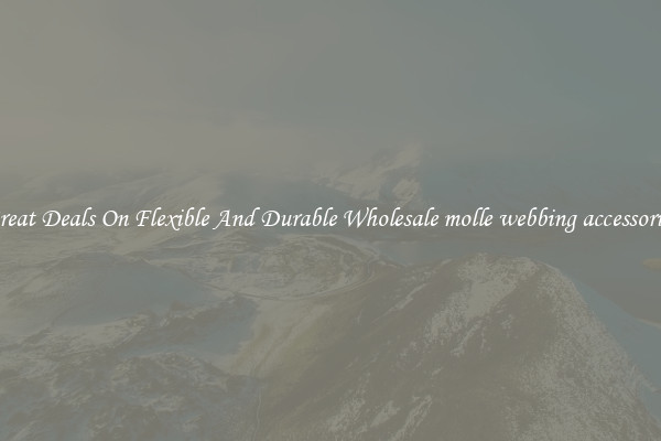 Great Deals On Flexible And Durable Wholesale molle webbing accessories
