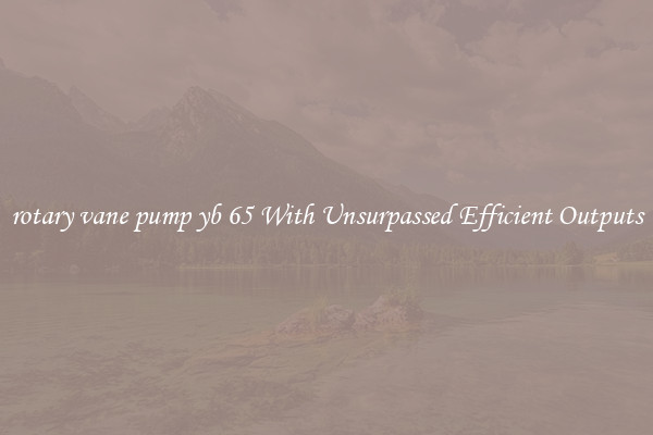 rotary vane pump yb 65 With Unsurpassed Efficient Outputs