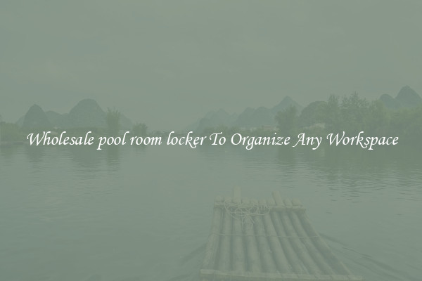 Wholesale pool room locker To Organize Any Workspace