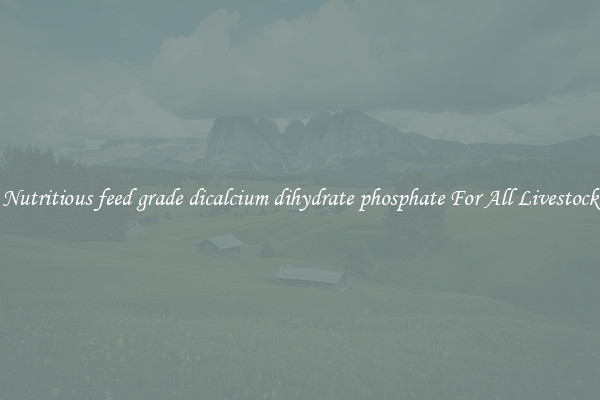 Nutritious feed grade dicalcium dihydrate phosphate For All Livestock