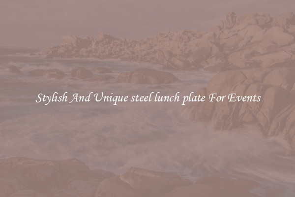 Stylish And Unique steel lunch plate For Events