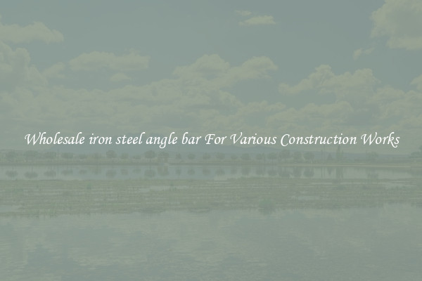 Wholesale iron steel angle bar For Various Construction Works