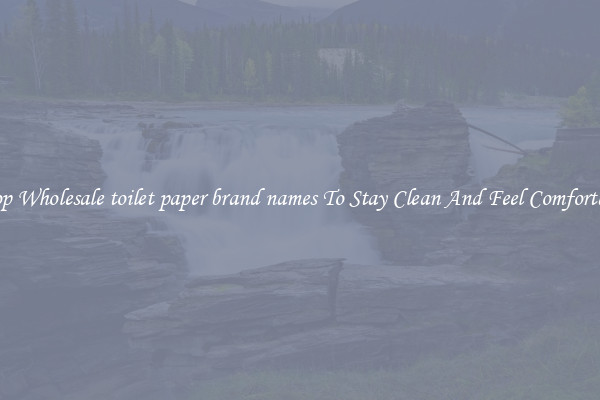 Shop Wholesale toilet paper brand names To Stay Clean And Feel Comfortable