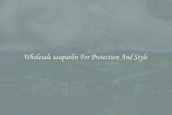 Wholesale tauparlin For Protection And Style 