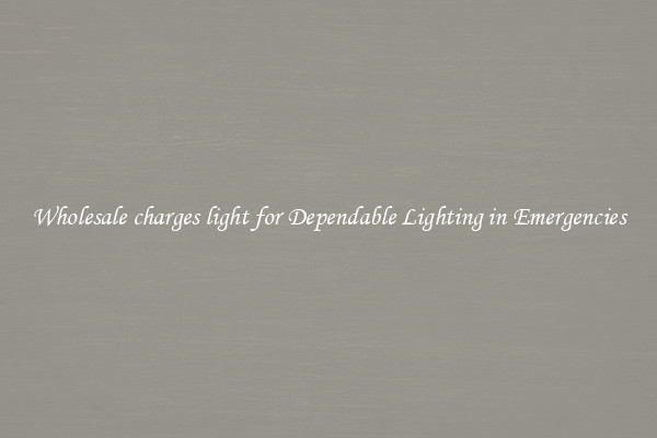 Wholesale charges light for Dependable Lighting in Emergencies