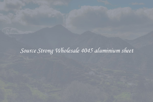Source Strong Wholesale 4045 aluminium sheet