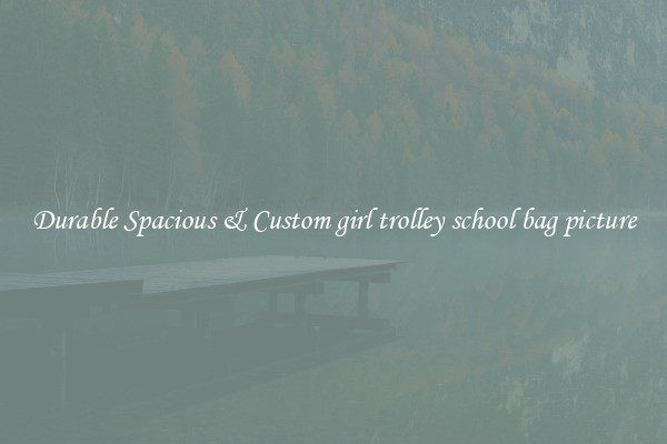 Durable Spacious & Custom girl trolley school bag picture