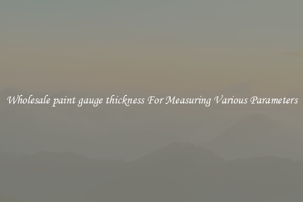 Wholesale paint gauge thickness For Measuring Various Parameters