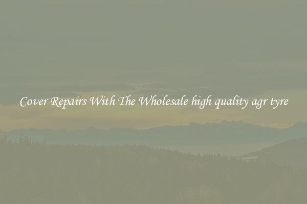  Cover Repairs With The Wholesale high quality agr tyre 