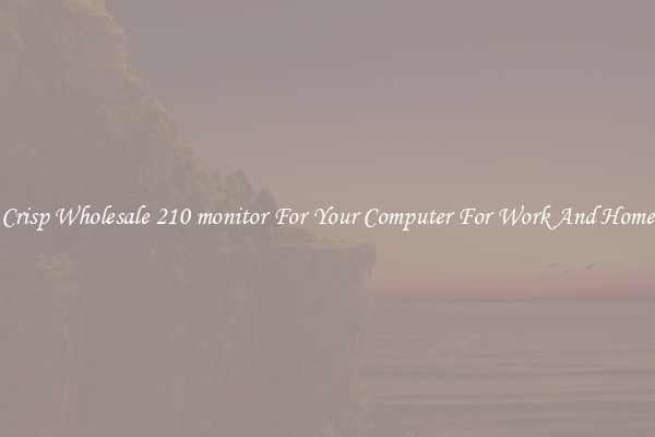 Crisp Wholesale 210 monitor For Your Computer For Work And Home