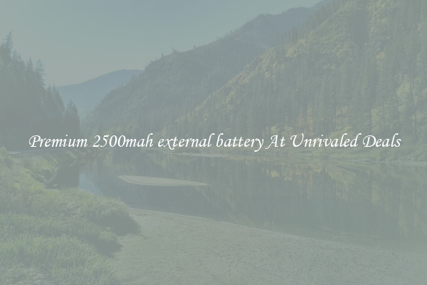 Premium 2500mah external battery At Unrivaled Deals