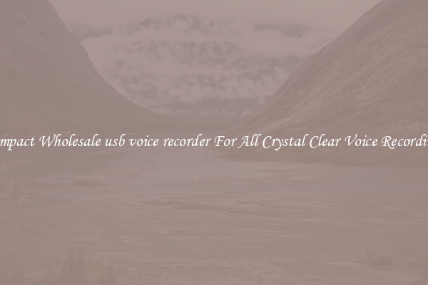 Compact Wholesale usb voice recorder For All Crystal Clear Voice Recordings