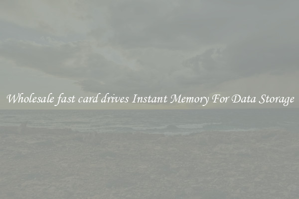 Wholesale fast card drives Instant Memory For Data Storage