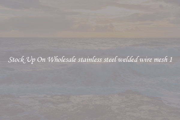 Stock Up On Wholesale stainless steel welded wire mesh 1